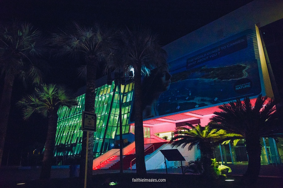 Palm tree nights by Faithieimages